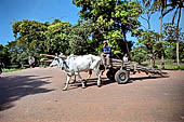 Siem Reap - local life as seen among the temples